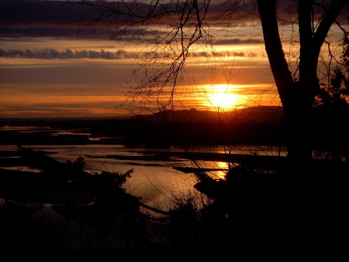 צ'יליוואק The Fraser River'S Edge B&B Lodge מראה חיצוני תמונה